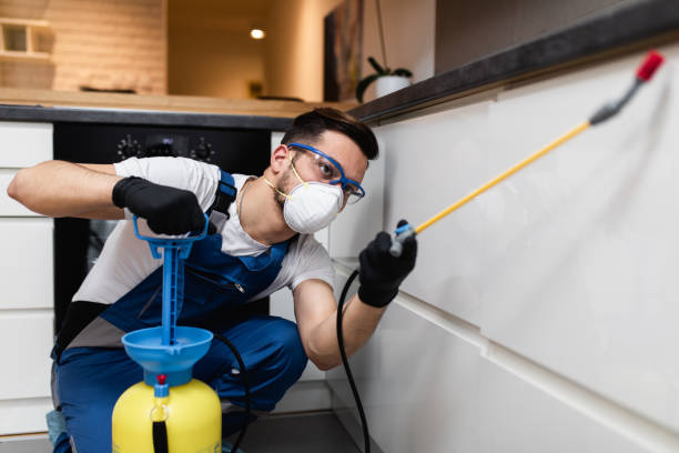 Best Residential Pest Control  in Boulder Creek, CA