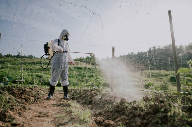 Best Pest Control Treatment  in Boulder Creek, CA