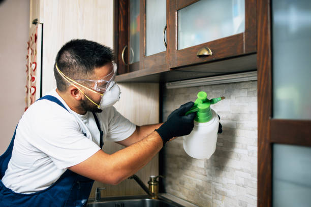 Best Best Pest Control Near Me  in Boulder Creek, CA