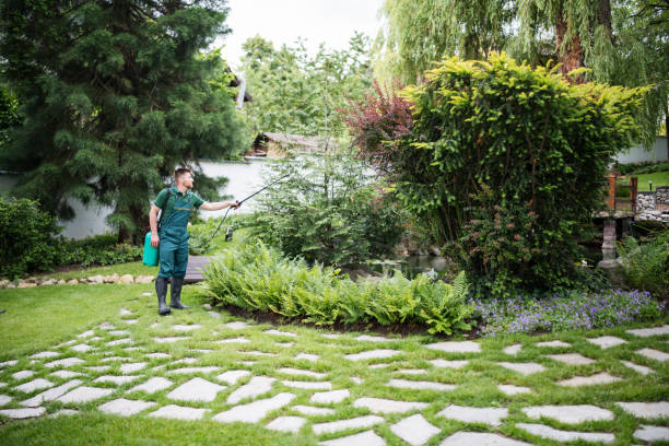 Best Pest Control Near Me in Boulder Creek, CA