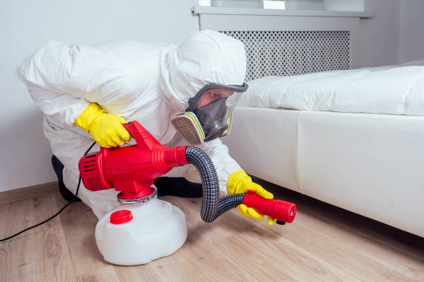 Best Mosquito Control Services  in Boulder Creek, CA