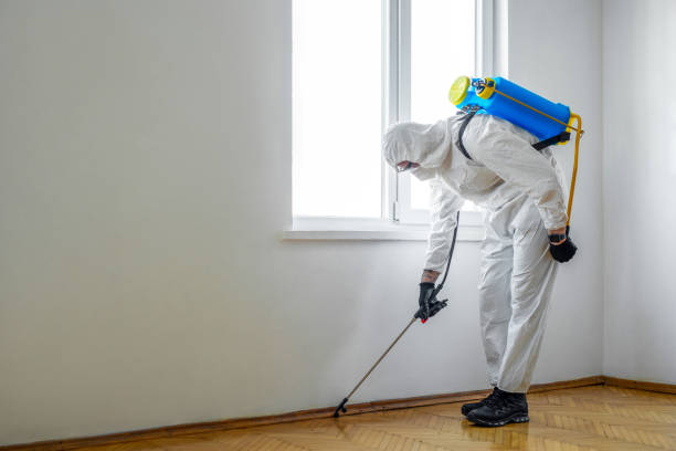 Best Ant Control Services  in Boulder Creek, CA