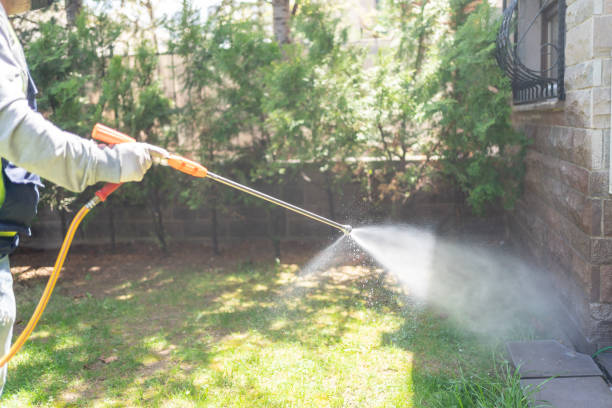 Best Insect Control  in Boulder Creek, CA