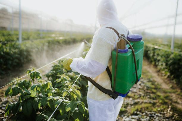 Best Pest Prevention Services  in Boulder Creek, CA